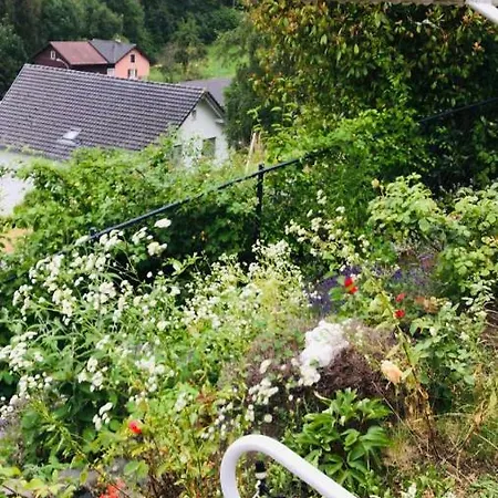 Ferienhaus Alpen Panorama View Luxury House With Garden